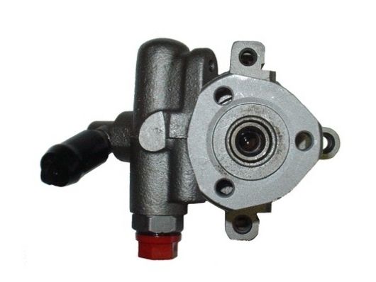 SPIDAN Hydraulikpumpe, Lenkung (53517)