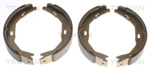 TRISCAN Bremsbackensatz, Feststellbremse (8100 23029)