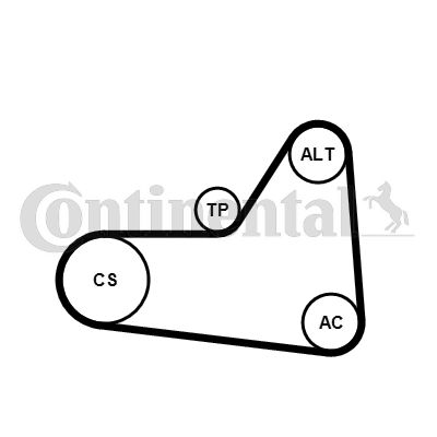 CONTINENTAL CTAM Keilrippenriemensatz (6PK1070K1)