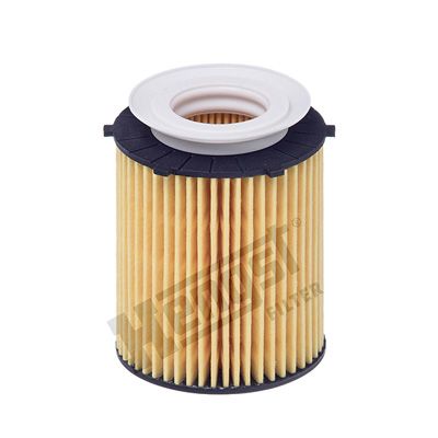 HENGST FILTER Ölfilter (E818H D238)