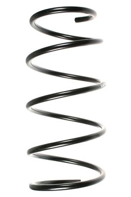 SPIDAN Fahrwerksfeder (49170)