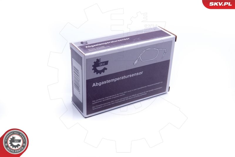 ESEN SKV Sensor, Abgastemperatur (30SKV004) ESEN SKV Sensor, Abgastemperatur (30SKV004)