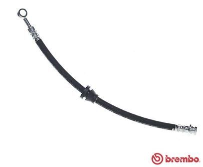 BREMBO Bremsschlauch (T 10 018) Thumbnail