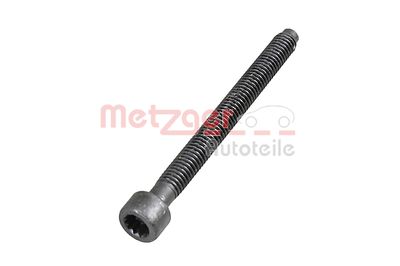 METZGER Schraube, Einspritzdüsenhalter (0872003S)
