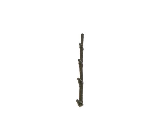 BOSCH Schlauch, Leckkraftstoff (0 928 400 599)