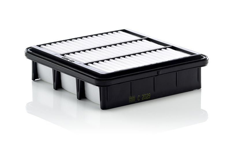 MANN-FILTER Luftfilter (C 2029)