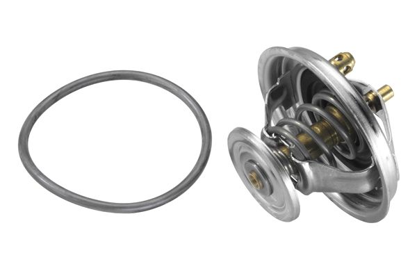 BorgWarner (Wahler) Thermostat, Kühlmittel (4455.80D)