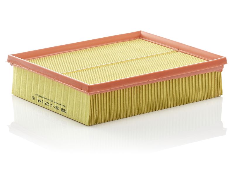 MANN-FILTER Luftfilter (C 25 146)