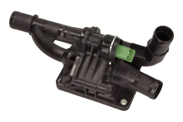 MAXGEAR Thermostat, Kühlmittel (18-0253)