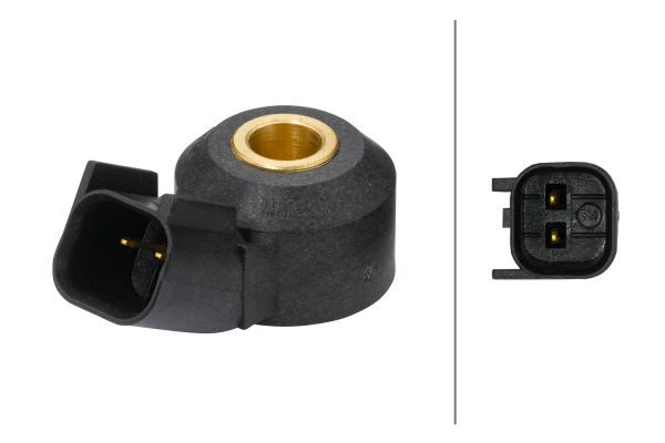 HELLA Klopfsensor (6PG 009 108-821)
