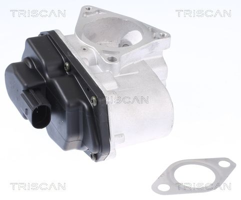 TRISCAN AGR-Ventil (8813 29003)