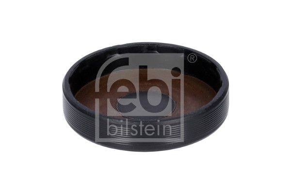 FEBI BILSTEIN Stopfen, Kipphebelwellen-Montagebohrung (23204)