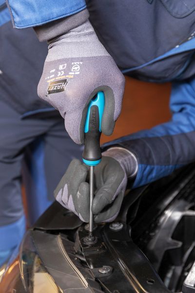 HAZET Schraubendrehersatz (810T/6) HAZET Schraubendrehersatz (810T/6)