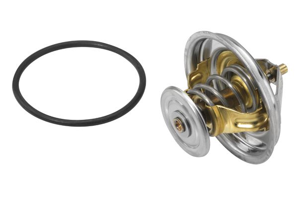 BorgWarner (Wahler) Thermostat, Kühlmittel (4235.80D)