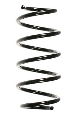 SPIDAN Fahrwerksfeder (85334)