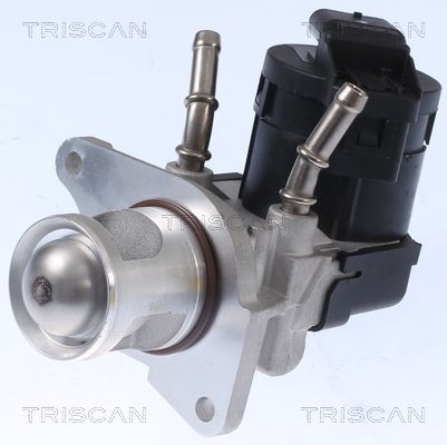 TRISCAN AGR-Ventil (8813 11001)