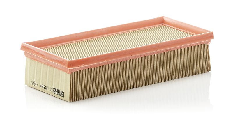 MANN-FILTER Luftfilter (C 2584)
