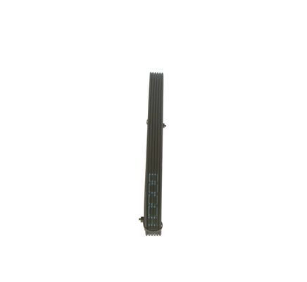 BOSCH Keilrippenriemen (1 987 946 208)