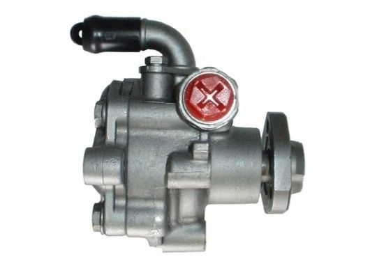 SPIDAN Hydraulikpumpe, Lenkung (53950)