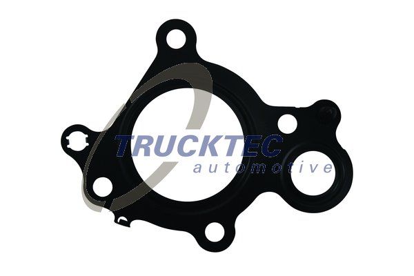 TRUCKTEC AUTOMOTIVE Dichtung, AGR-Ventil (02.16.078)