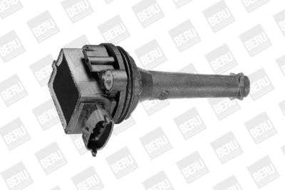 BorgWarner (BERU) Zündspule (ZSE019)