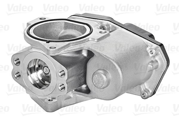 VALEO AGR-Ventil (700424)