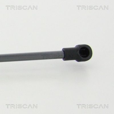 TRISCAN Gasfeder, Koffer-/Laderaum (8710 28250)