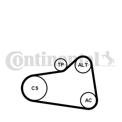 CONTINENTAL CTAM Keilrippenriemensatz (6PK905 EXTRA K1)