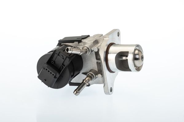 BorgWarner (Wahler) AGR-Ventil (710327D)