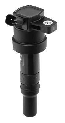 BorgWarner (BERU) Zündspule (ZS476)