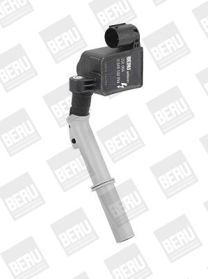 BorgWarner (BERU) Zündspule (ZSE094)