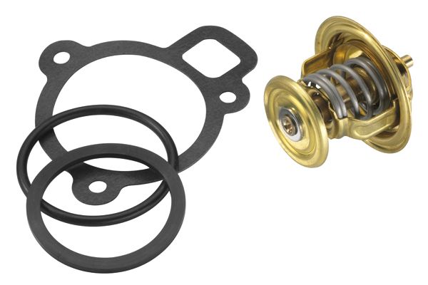 BorgWarner (Wahler) Thermostat, Kühlmittel (4256.87D50)