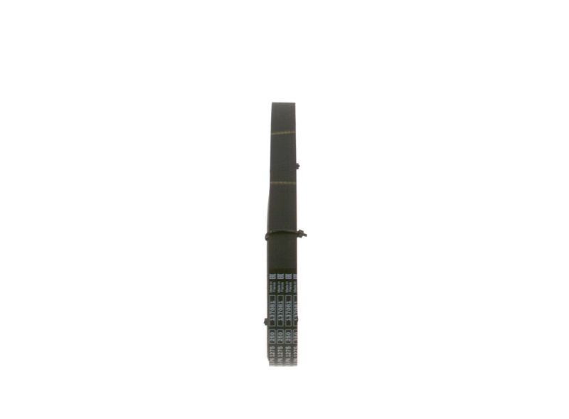 BOSCH Keilrippenriemen (1 987 948 495) BOSCH Keilrippenriemen (1 987 948 495)