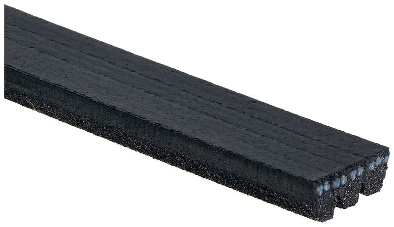 GATES Keilrippenriemen (3PK828)