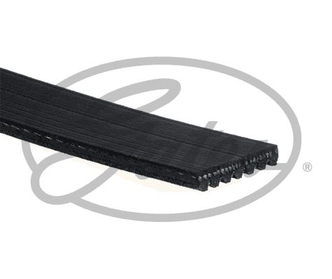 GATES Keilrippenriemen (7PK1140)
