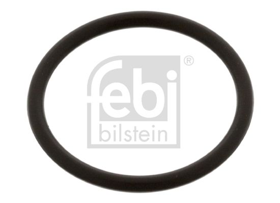 FEBI BILSTEIN Dichtung, Düsenhalter (48674)