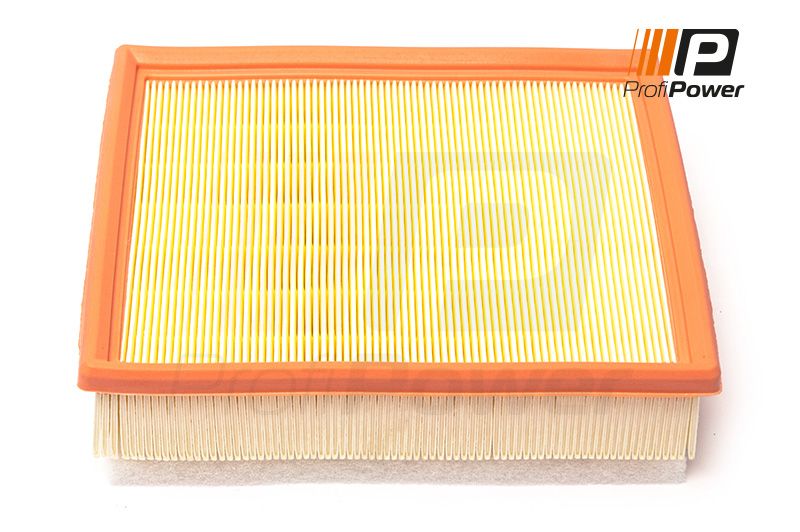 ProfiPower Luftfilter (2F0165)