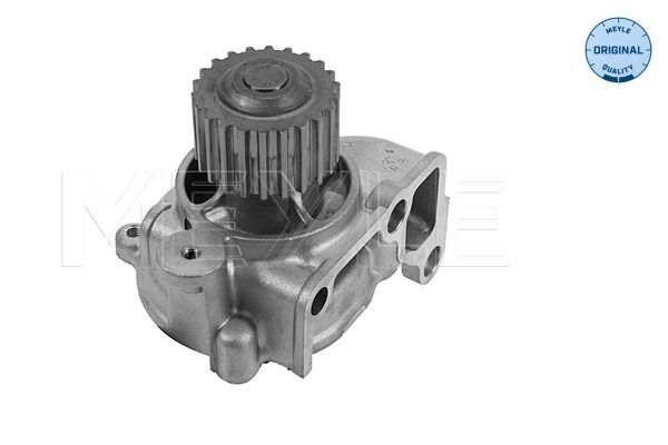 MEYLE Wasserpumpe, Motorkühlung (35-13 220 0001)