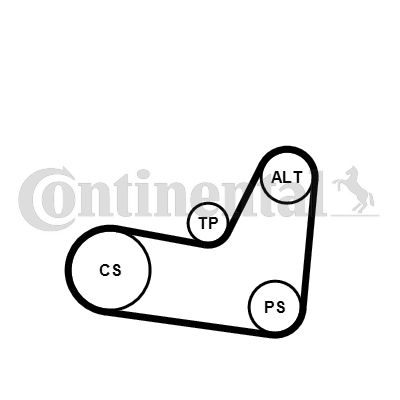 CONTINENTAL CTAM Keilrippenriemensatz (6PK1070K2)