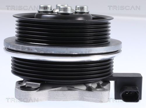 TRISCAN Wasserpumpe, Motorkühlung (8600 29062)