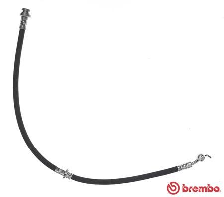 BREMBO Bremsschlauch (T 56 142)