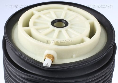 TRISCAN Luftfeder, Fahrwerk (8720 23201)