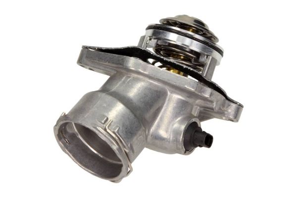MAXGEAR Thermostat, Kühlmittel (18-0421)