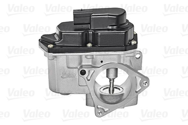 VALEO AGR-Ventil (700424)