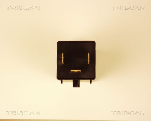 TRISCAN Blinkgeber (1010 EP34) Thumbnail