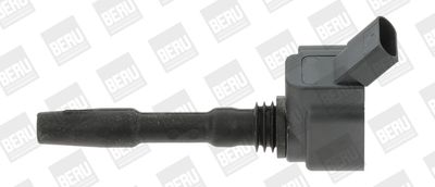 BorgWarner (BERU) Zündspule (ZSE137)