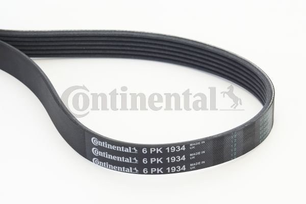 CONTINENTAL CTAM Keilrippenriemen (6PK1934)