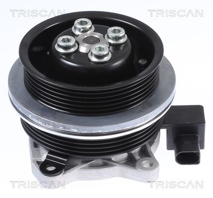 TRISCAN Wasserpumpe, Motorkühlung (8600 29062)