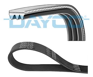 DAYCO Keilrippenriemen (3PK576EE)
