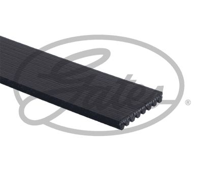 GATES Keilrippenriemen (6PK893XS)